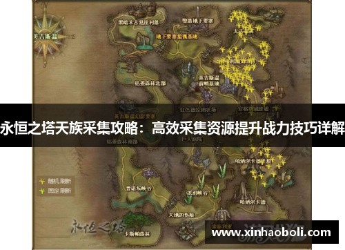 永恒之塔天族采集攻略：高效采集资源提升战力技巧详解